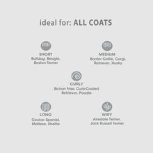 Load image into Gallery viewer, arreglo-34635744