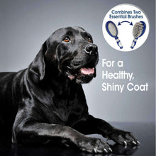 Load image into Gallery viewer, arreglo-34635834