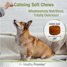 Load image into Gallery viewer, Dog with Fourpaws Healthypromise Dog Calmingsoftchews 90ct