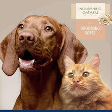 Load image into Gallery viewer, arreglo-34635690