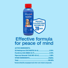 Load image into Gallery viewer, arreglo-34635773