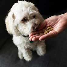 Load image into Gallery viewer, Houndations® Dog Training Treats (5 Flavors)