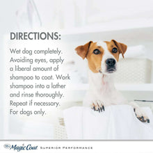 Load image into Gallery viewer, arreglo-34635725