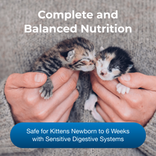 Load image into Gallery viewer, arreglo-34635872