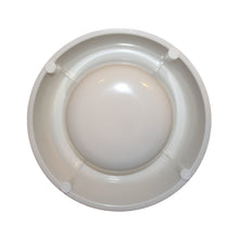 Load image into Gallery viewer, EcoWare™ Decorated Small Non-Tip-Non-Skid Dish