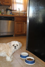 Load image into Gallery viewer, EcoWare™ Decorated Small Non-Tip-Non-Skid Dish