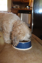 Load image into Gallery viewer, EcoWare™ Decorated Small Non-Tip-Non-Skid Dish