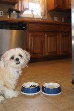 Load image into Gallery viewer, EcoWare™ Decorated Small Non-Tip-Non-Skid Dish