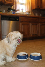 Load image into Gallery viewer, EcoWare™ Decorated Small Non-Tip-Non-Skid Dish