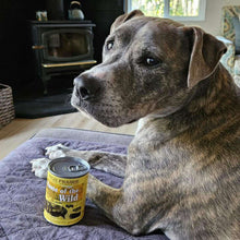 Load image into Gallery viewer, arreglo-34635906