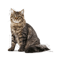 Load image into Gallery viewer, arreglo-34635609