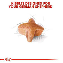 Load image into Gallery viewer, arreglo-34635573