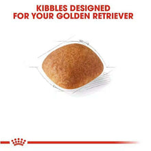 Load image into Gallery viewer, arreglo-34635579