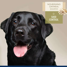 Load image into Gallery viewer, arreglo-34635680