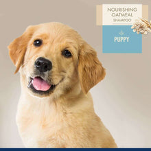 Load image into Gallery viewer, arreglo-34635652