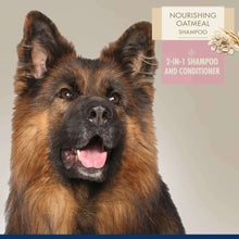 Load image into Gallery viewer, arreglo-34635668