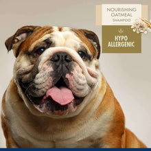 Load image into Gallery viewer, arreglo-34635644
