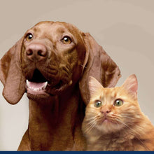 Load image into Gallery viewer, arreglo-34635691
