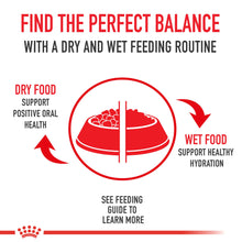 Load image into Gallery viewer, Adult In Gel Canned Dog Food
