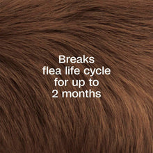 Load image into Gallery viewer, arreglo-34635790
