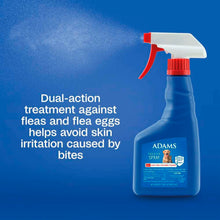 Load image into Gallery viewer, arreglo-34635791
