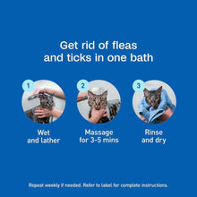 Load image into Gallery viewer, arreglo-34635786
