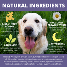 Load image into Gallery viewer, Under the Weather Calming Soft Chews For Dogs 60 Treats
