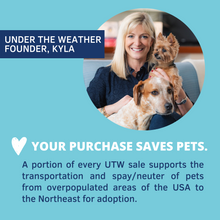 Load image into Gallery viewer, Under the Weather Calming Soft Chews For Dogs 60 Treats
