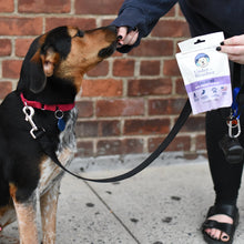 Load image into Gallery viewer, Under the Weather Calming Soft Chews For Dogs 60 Treats
