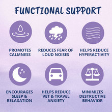 Load image into Gallery viewer, Under the Weather Calming Soft Chews for Cats 60 Treats
