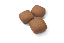 Load image into Gallery viewer, Giant Junior Dry 
