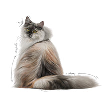 Load image into Gallery viewer, Hair &amp; Skin Care Thin Slices in Gravy Canned Cat Food
