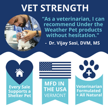 Load image into Gallery viewer, Under the Weather Calming Soft Chews for Cats 60 Treats
