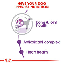 Load image into Gallery viewer, Giant Adult Dry 
