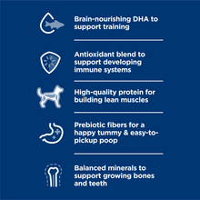 Load image into Gallery viewer, arreglo-34635910
