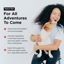 Load image into Gallery viewer, Pet-Ease™ Calming Soft Chews nutri-vet
