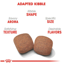 Load image into Gallery viewer, Giant Adult Dry 
