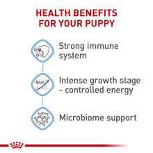 Load image into Gallery viewer, Giant Puppy Dry
