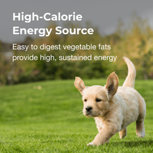 Load image into Gallery viewer, arreglo-34635696
