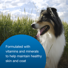 Load image into Gallery viewer, arreglo-34635697
