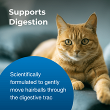 Load image into Gallery viewer, arreglo-34635720
