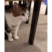 Load image into Gallery viewer, arreglo-34635612
