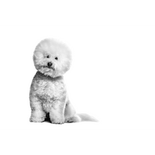 Load image into Gallery viewer, arreglo-34635607
