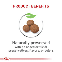 Load image into Gallery viewer, Large Puppy Dry 
