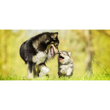 Load image into Gallery viewer, arreglo-34635958
