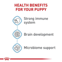 Load image into Gallery viewer, Large Puppy Dry 
