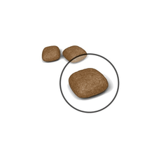 Load image into Gallery viewer, arreglo-34635610
