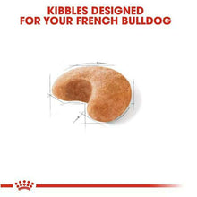 Load image into Gallery viewer, arreglo-34635567
