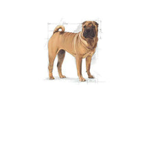 Load image into Gallery viewer, arreglo-34635582
