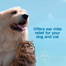 Load image into Gallery viewer, arreglo-34635803
